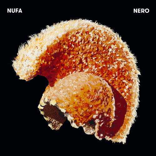 2017-nufa_nero 2017-nufa_nero