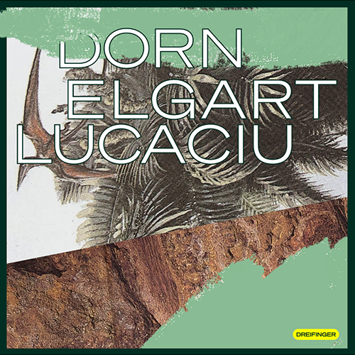 2021-dorn-elgart-lucaciu-dreifinger 2021-dorn-elgart-lucaciu-dreifinger